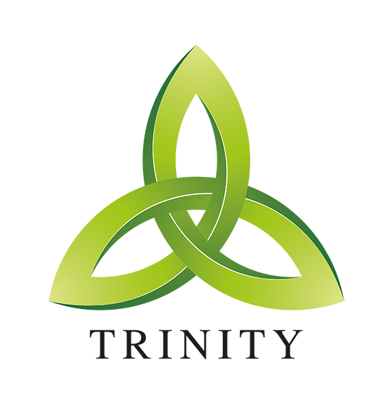 Image result for trinity images